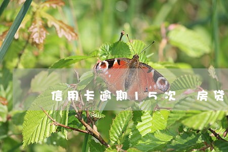 信用卡逾期15次 房贷 信用卡逾期15次 房贷